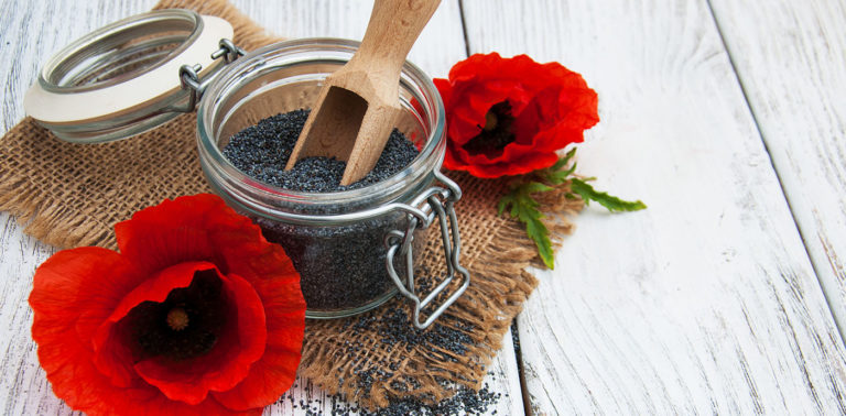 Παπαρουνόσπορος