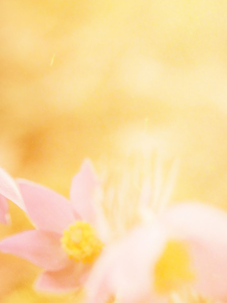 Υγεία, Ευεξία, εναλλακτική ιατρική, ολιστική ιατρική, θετική ενέργεια