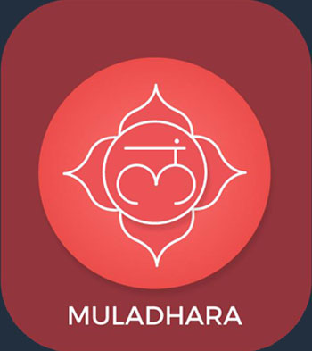 Ριζικό Τσάκρα