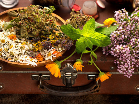 Βοτανοθεραπεία