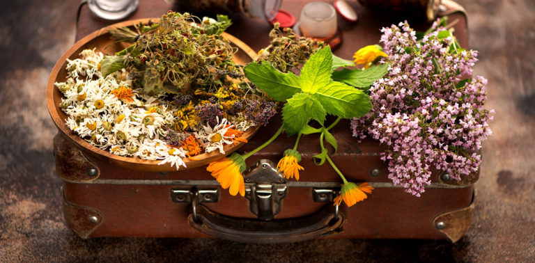 Βοτανοθεραπεία