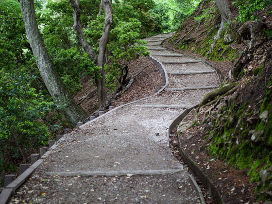 Ανακτώντας τη ρίζα της ύπαρξης