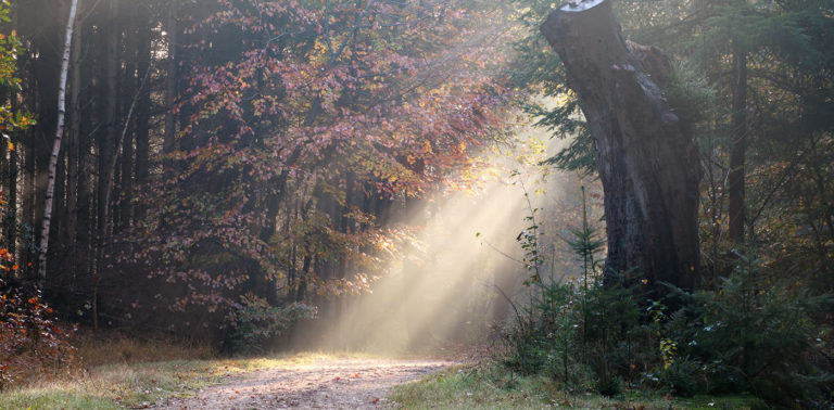 Όταν οι μέρες γίνονται δύσκολες