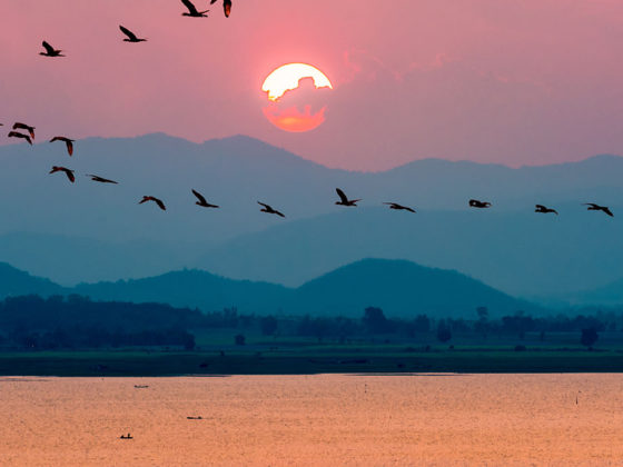 Επιστρέφοντας στον εαυτό