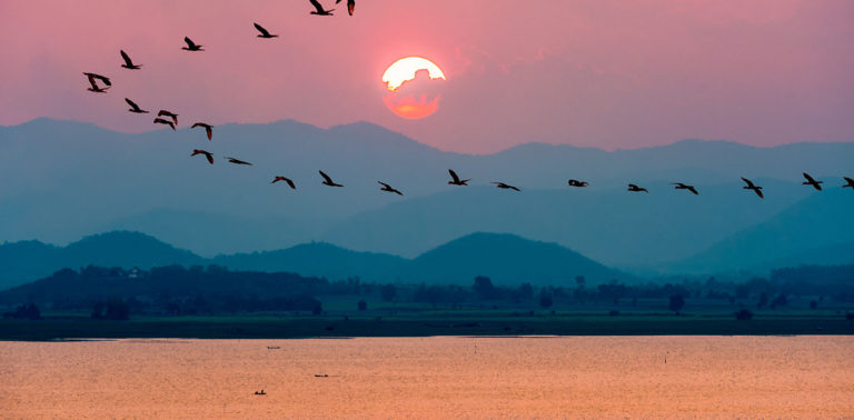 Επιστρέφοντας στον εαυτό
