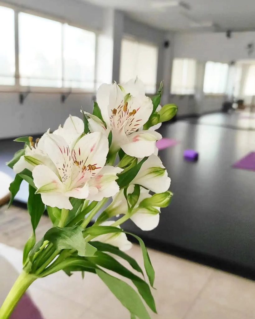 photo αίθουσα_λουλούδι1