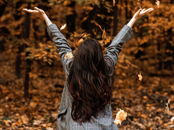 Η τέχνη της γείωσης