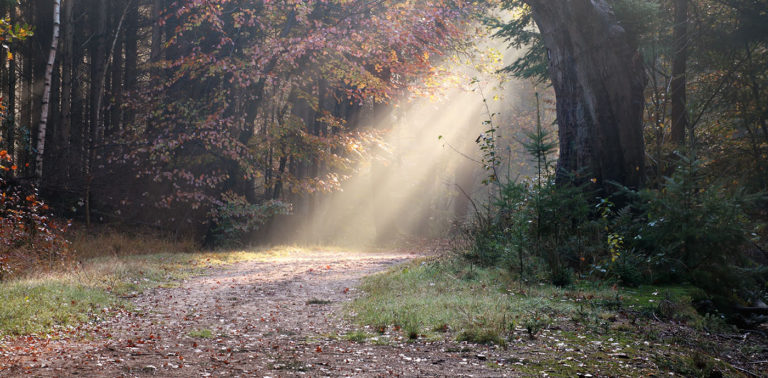 Όταν η ψυχή δείχνει το δρόμο