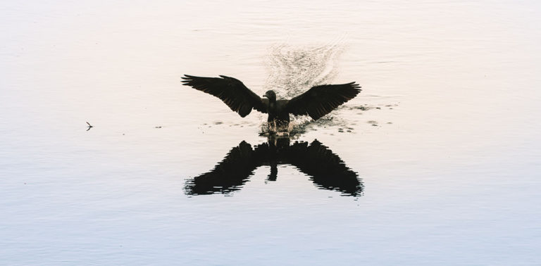 Η ψευδαίσθηση της ελευθερίας