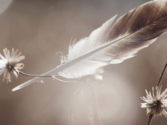 Ζώντας με καρδιά αντί για νου