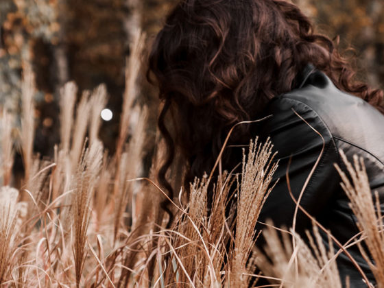 Η σοφία του σώματος