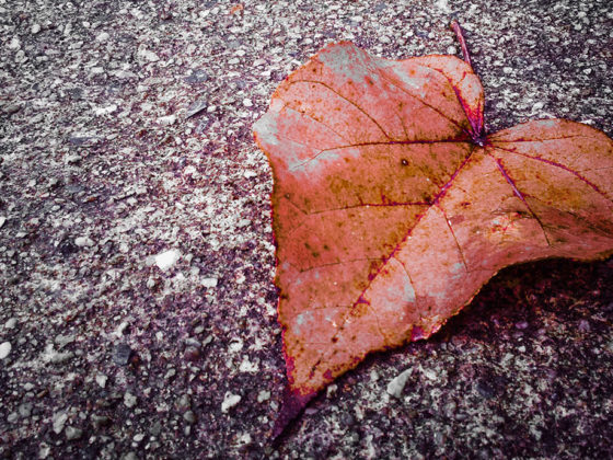 Όταν η ζωή γίνεται στάσιμη