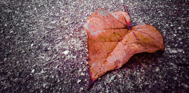 Όταν η ζωή γίνεται στάσιμη