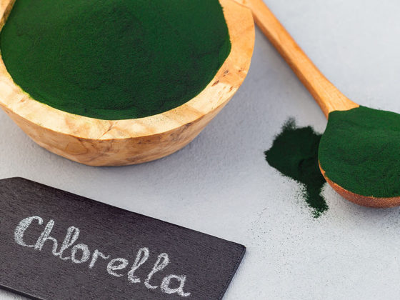 Chlorella