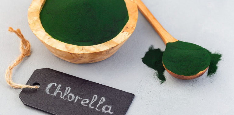 Chlorella