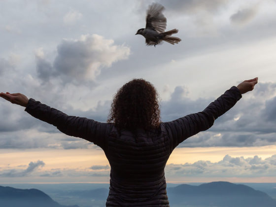 Τι σημαίνει εσωτερική ελευθερία στην πράξη
