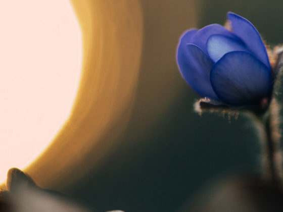 Πως να ακούς την εσωτερική σου καθοδήγηση