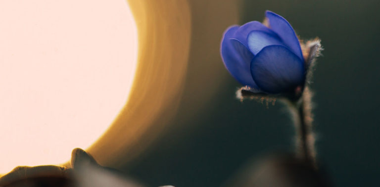 Πως να ακούς την εσωτερική σου καθοδήγηση