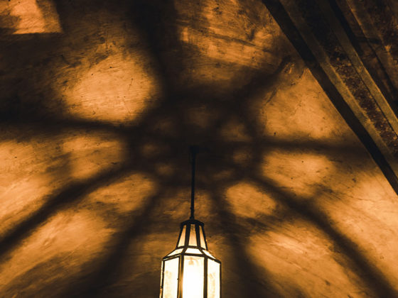 Η σοφία της σκιάς: γιατί πρέπει να δούμε το σκοτάδι για να υπάρξει φως