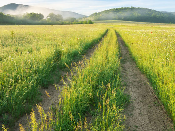 Η διαφορά ανάμεσα στην επίγνωση και την αυτοβελτίωση