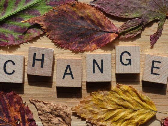 Πως αλλάζουμε εσωτερικά μοτίβα χωρίς να πολεμάμε τον εαυτό μας