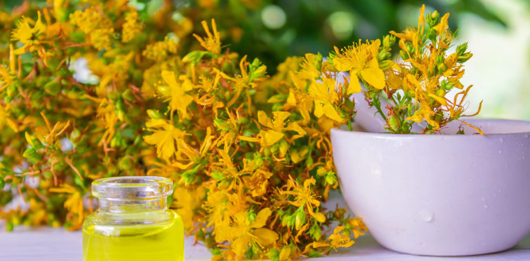 Σπαθόχορτο ή Βαλσαμόχορτο