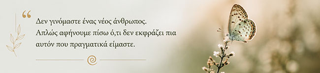 Οι φάσεις της εσωτερικής μεταμόρφωσης